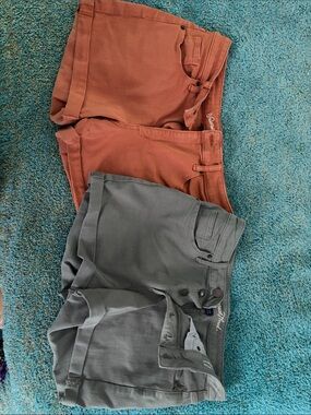 Universal Thread Women’s Shorts Lot (2) size 10/30